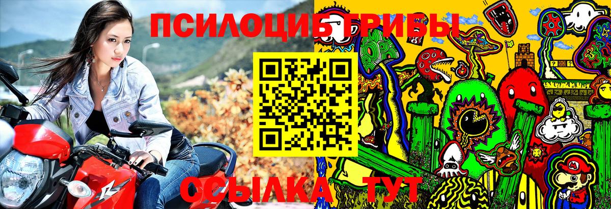 Галлюциногенные грибы мицелий  Галлюциногенные грибы Psilocybine cubensis  Ачинск  Вход с VPN 